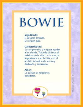 Significado del nombre Bowie