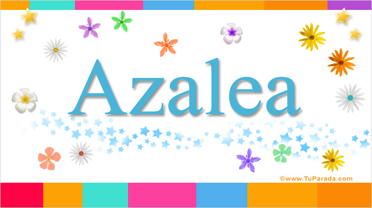 Nombre Azalea, Imagen Significado de Azalea