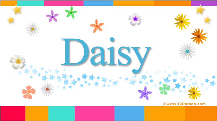 Daisy, imagen de Daisy