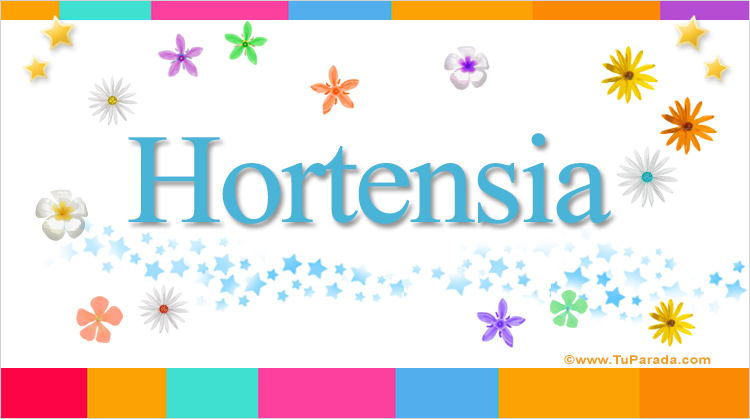 Nombre Hortensia, Imagen Significado de Hortensia