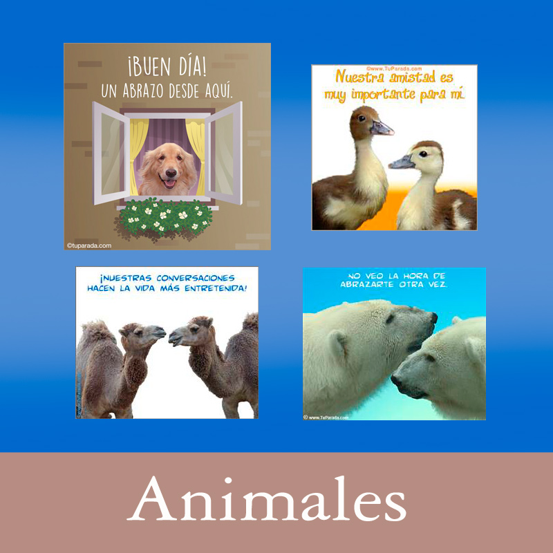 Tarjetas, postales: Animales