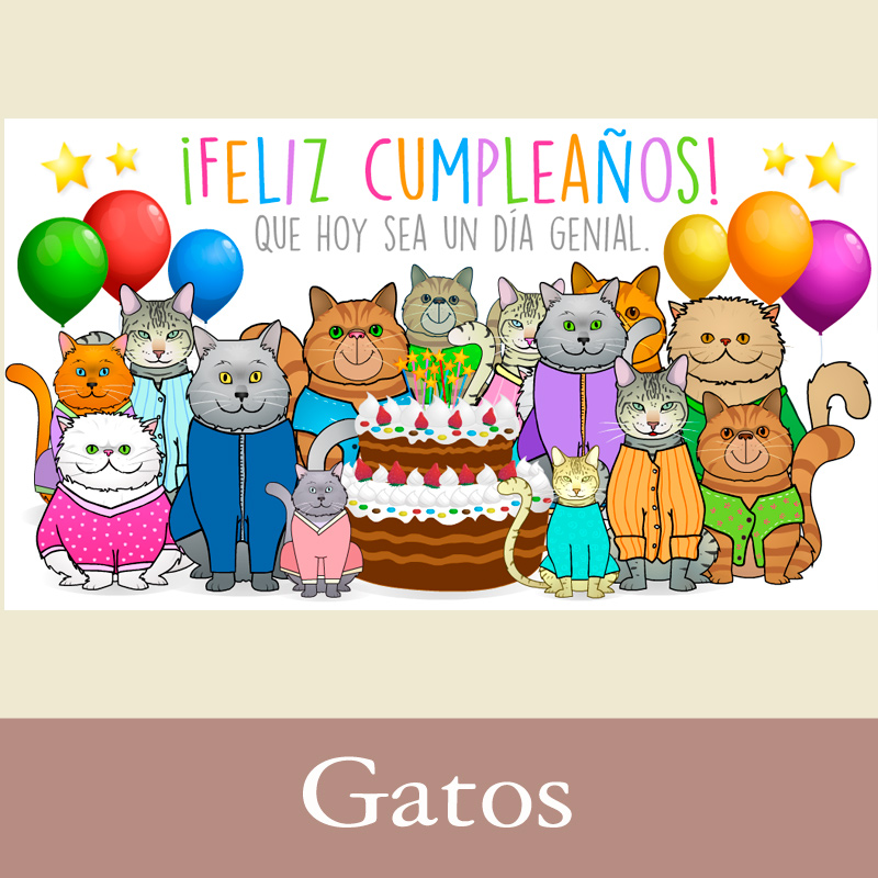 Tarjetas, postales: Gatos