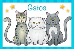 Tarjetas de  Gatos
