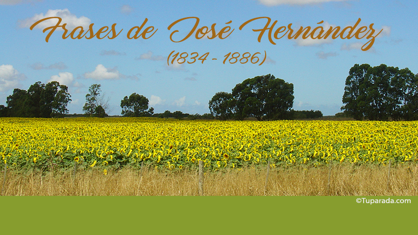 Tarjetas de  José Hernández