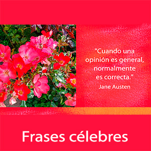 Tarjetas, postales: Frases Célebres