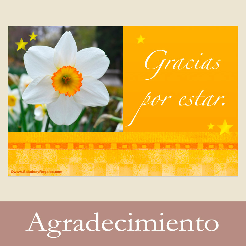 Tarjetas postales: Agradecimiento