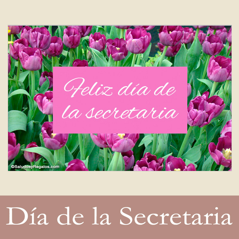 Tarjetas postales: Para Secretarias