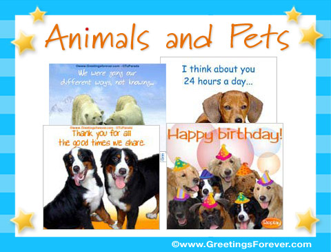 Animals and Pets Ecards