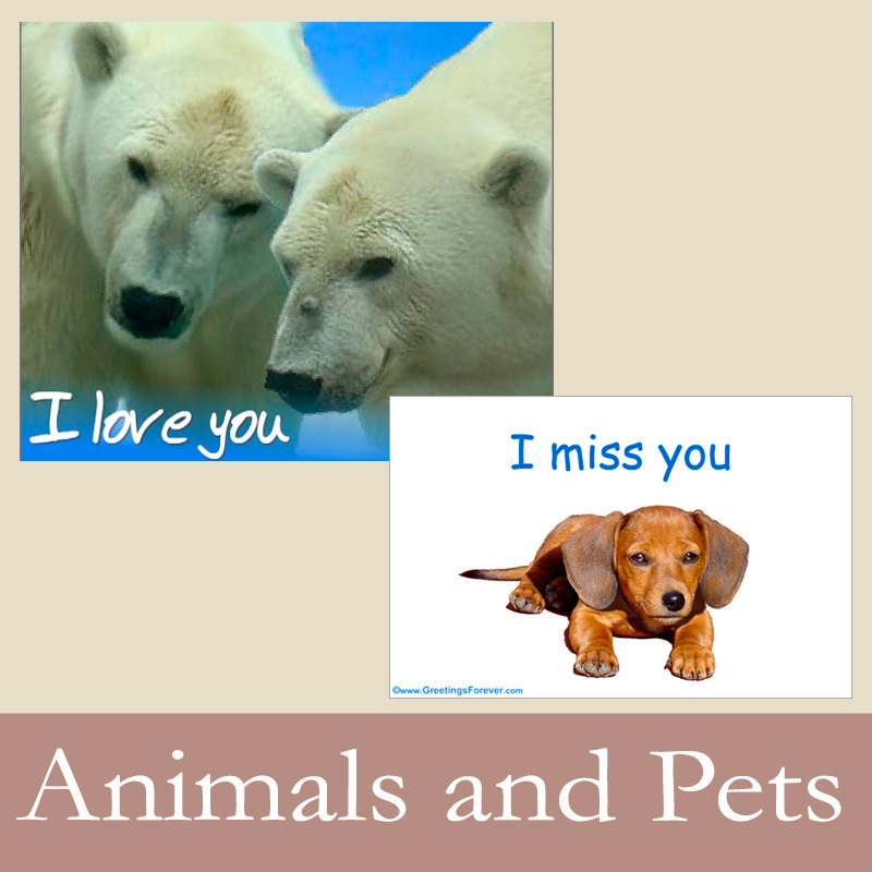 Ecards: Animals and Pets