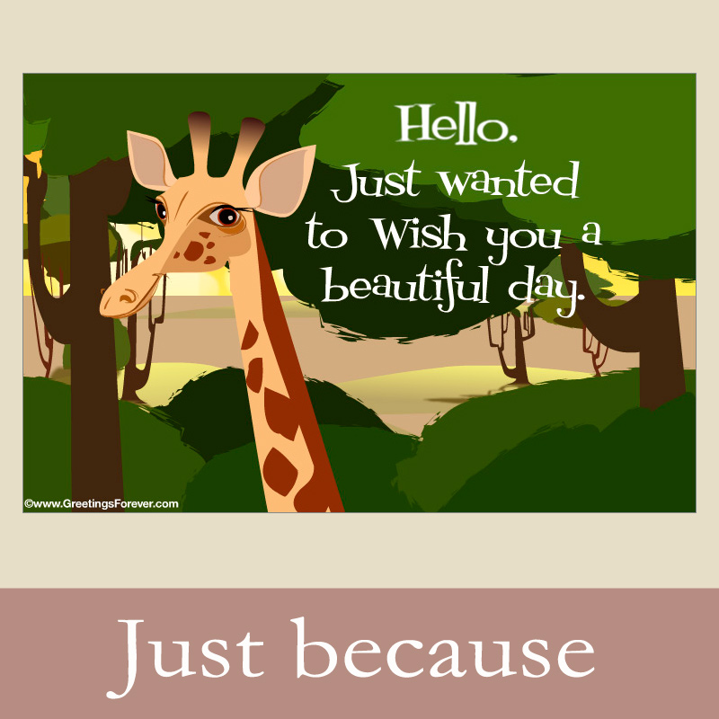 Ecards: Just Because