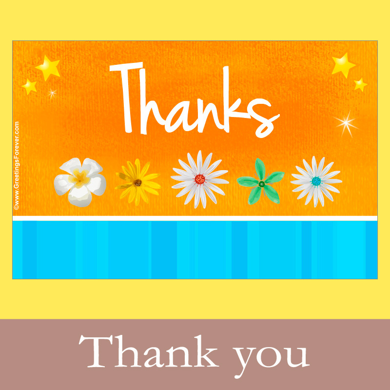 Ecards: Thank you