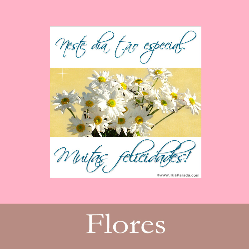 Cartões postais: Flores