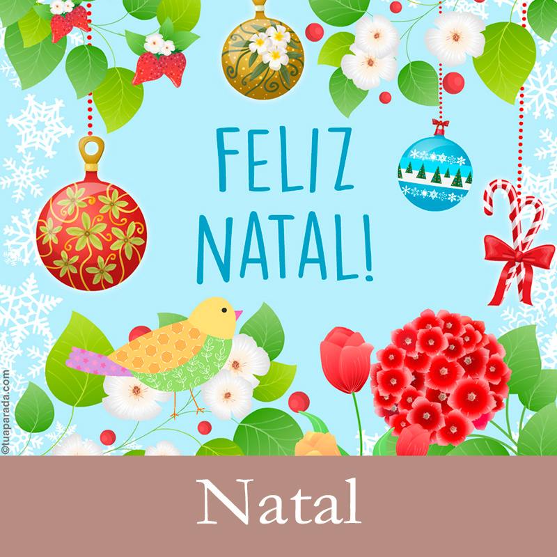 Cartões postais: Natal